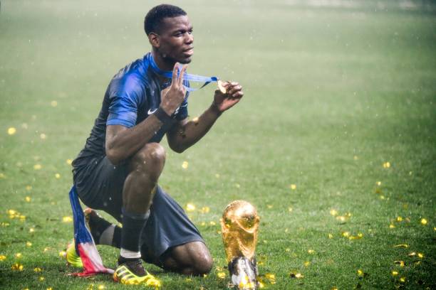 神经系统恢 神经系统恢