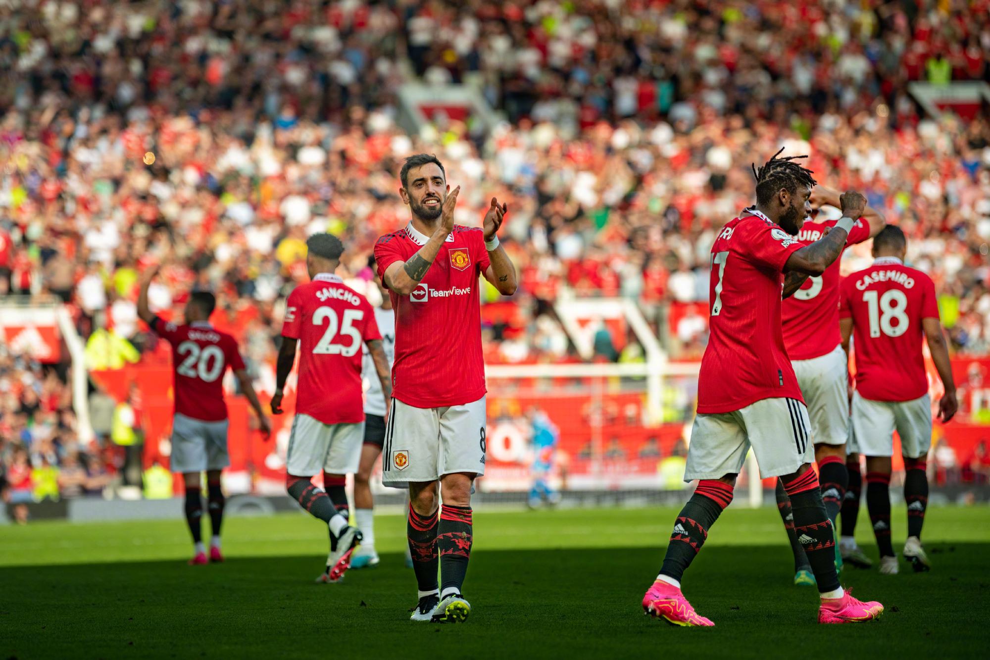 射标准化 射标准化